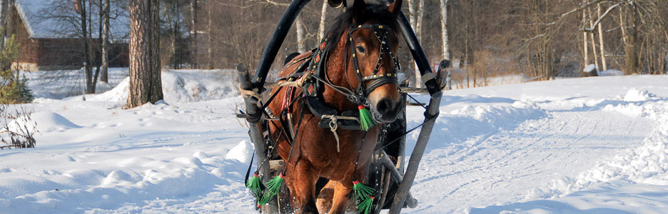 KAM - Dovolená v Čechách, na Moravě a ve Slezsku