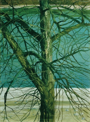 Klemens Brosch, Studie stromu na Dunaji, 
1926 (olej, plátno, karton, 47 x 37 cm)
