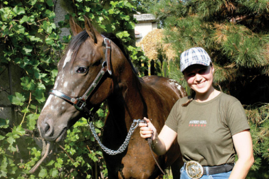 Horse Riding in the Vysočina