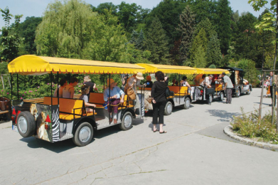 Plzeň ZOO – Totally Another World