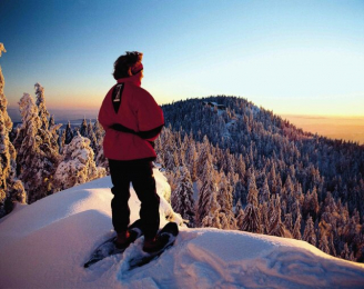 Winter in Südböhmen und im Bayrischen Wald