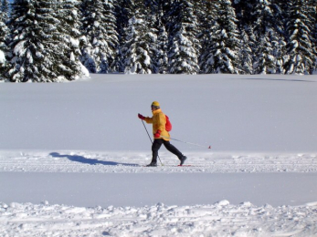 Winter in Südböhmen und im Bayrischen Wald
