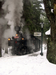 Winter in Südböhmen und im Bayrischen Wald