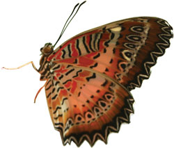 KAM za kulturou, duben 2008 - Praha