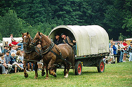 Kemp western Vochtánka Potštejn v&nbsp;roce 2009 