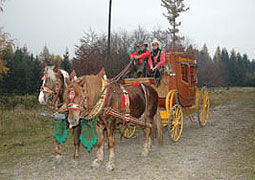 Kemp western Vochtánka Potštejn v&nbsp;roce 2009 