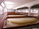 Brauerei Březňák in Velké Březno (Großpriesen)