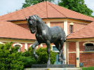 A Jolly Weekend in Písek