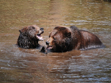 Zoopark Chomutov