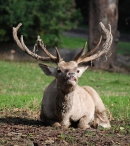 Zoopark Chomutov