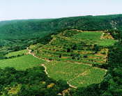 Schluss mit Müdigkeit – in Südmähren