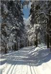 The White Adventure or Advent in the Hradec Králové Region