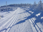 The White Adventure or Advent in the Hradec Králové Region