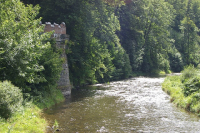 Five Good Reasons to Visit Us in 2010