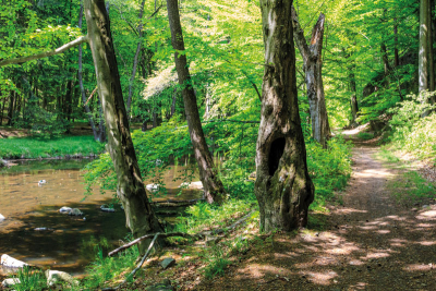 Přírodní rezervace Strádovské Peklo