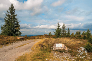 Na vřesoviště na Jordánu v Brdech se dostanete po nové naučné stezce