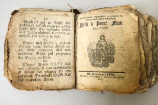 Přírůstek do sbírky