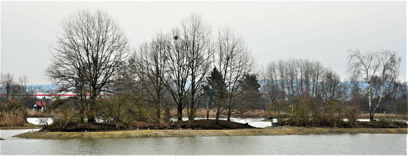Vrbenské rybníky u Českých Budějovic