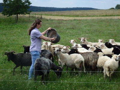 Škola řemesel Stránské, Roman Křenek