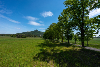 Vranov alej a Ralsko