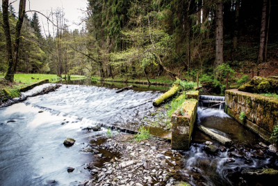 Jindřišské údolí Hamerského potoka