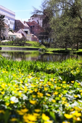 Jaro v Jindřichově Hradci