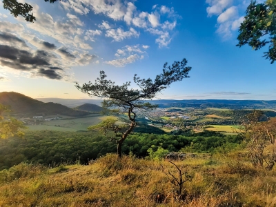 Pohled na město z Rašovických skal