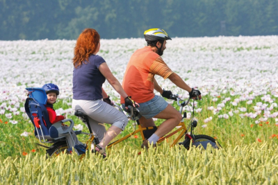 Cyklo & in-line království