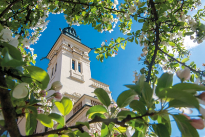 Cyklo & in-line království