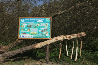 Krajinou povodní