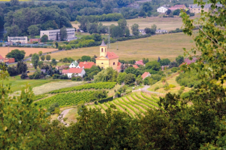 Vinobraní ve Stranné
