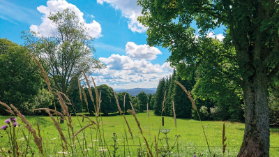 Bučina, výhled na šumavské velikány