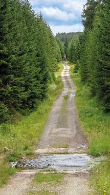 Přechod potoka Bučina suchou nohou