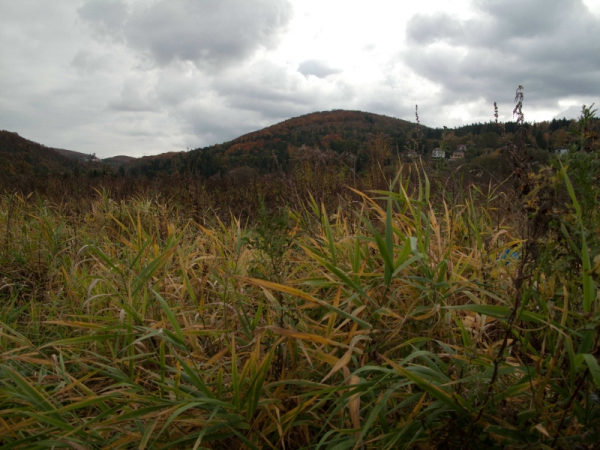 Přírodní rezervace Medník