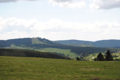 Výhled na Plešivec