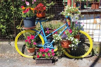 Návštěvníky vítají Veselá kola