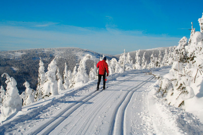 Běžkařské trasy v Orlických horách 