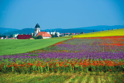 Výlet překrásnou krajinou Dačicka