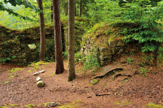 Sokolčí zřícenina