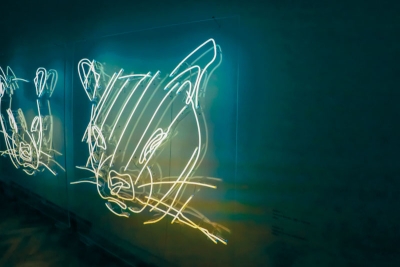 Marek Číhal – Imperiál