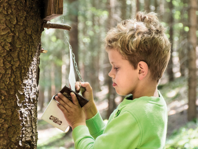 Stezka lesních skřítků
