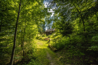 Naučná stezka Královec