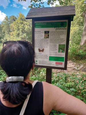 Zastavení v Jindřišském údolí