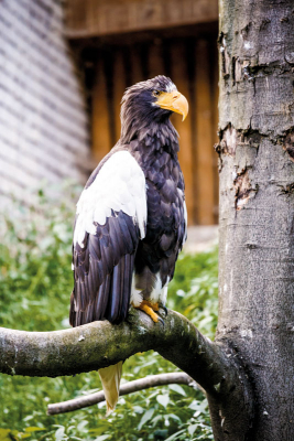 Zoo Liberec