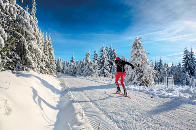 Jesenická magistrála