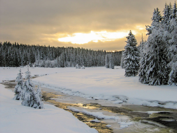 Šumava – Roklanský potok