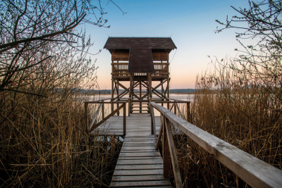 Ptačí pozorovatelna