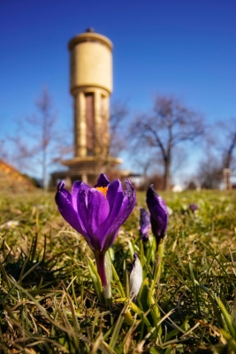 Z rozhledny Vodárna dohlédnete při dobrém počasí až do Krkonoš
