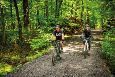 Labská stezka přes Libický luh