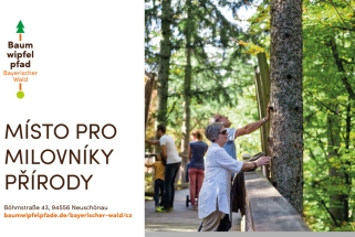 Stezka korunami stromů